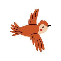 Cute bird. illustration with a beautiful bird in flight. Hand drawn style. White isolated background. vector