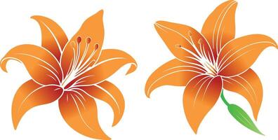 Lily flower art illustration vector