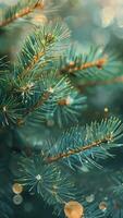 vertical 4K captures close-up, detailed pine tree needles with a soft, bokeh background. The natural light highlights the texture and colors, creating a serene and festive video