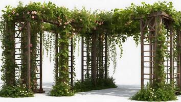 Flowering Vines on Rustic Trellis for Decoration photo
