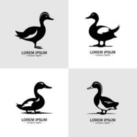 Set of Duck silhouettes. Suitable for logo, emblem, pattern, typography etc. Isolated on white background. illustration vector