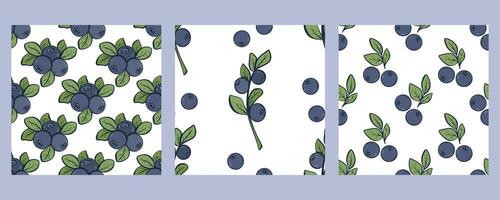 Set blueberry seamless patterns graphics vector
