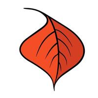 Illustration of an autumn leaf on a white background. vector
