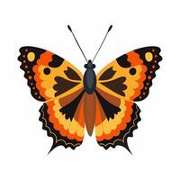 A Vintage Illustration of Small Tortoiseshell Butterfly vector