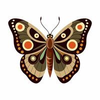 A Vintage Illustration of Buckeye Butterfly vector