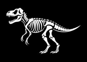 A T-Rex Dinosaur Skeleton vector