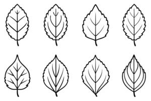 Aspen leaf line art design simple outline illustration vector