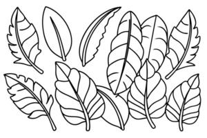 Banana leaf line art design simple outline illustration vector