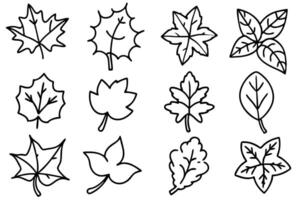 Ivy leaf line art design illustration graphics vector