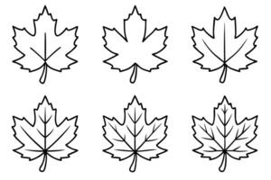 Maple leaf line art design illustration creative design vector