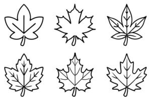 Maple leaf line art design illustration artistic expression vector
