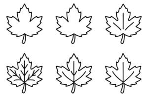 Maple leaf line art design illustration nature inspired vector