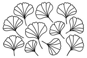 Ginkgo leaf hand-sketched line art foliage illustration style vector