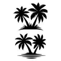 Tall tropical tree with large versatile and feathery leaves. vector