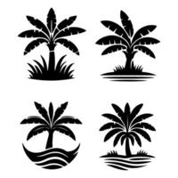 Tall tropical tree with large versatile and feathery leaves. vector