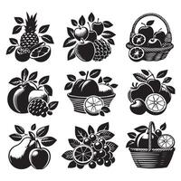 Fruit Of Basket vector