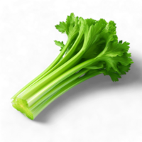 gerado ai salsão vegetal, saudável salsão, fresco salsão, salsão Gravetos, orgânico salsão png