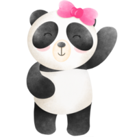 Panda Valentine's bay png