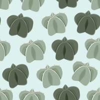 Green seamless pattern of succulent astrophytum vector