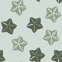 Seamless pattern succulent astrophytum myriotigma vector