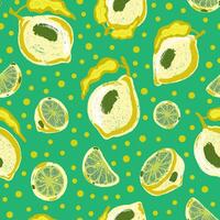 lemon and lime slices on a green background vector