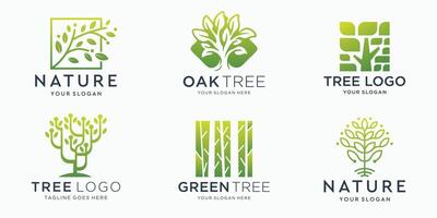 Set of logos with the icon of a tree abstract design template. vector