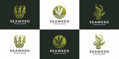 Set of compositions from corals, reefs and algae. Can be used to create logos, icons, patterns. Ocean life. Sea bottom. Seabed illustration. vector