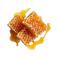 Honeycomb with Honey and Cream isolated on a transparent background png