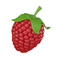 Realistic Raspberry for Graphic Design Projects. 3D Render png