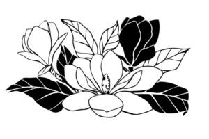 Composition with hand drawn magnolia flower, set of contour and outline illustration. isolated floral element. flower bud of different shapes for prints, templates, greeting cards, invitations. vector