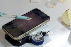 Small cell imaging using a smartphone microscope is a technology used in conjunction with smartphones. To do this, align the smartphone's camera with the cell on the slide. photo