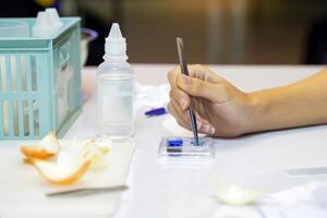 Students conducted an experiment on onion pulp cells, which was a study of plant cells in the dyeing process using Forcep. Dip the onion pulp in iodine solution before examining it under a microscope. photo