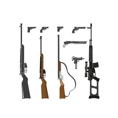 The Impact of Gun Control Legislation on Society