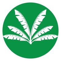 banana leaf design vector