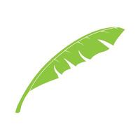 banana leaf design vector