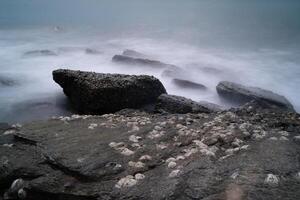 Rocks by the sea with embedded shells photo