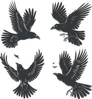 Birds Collection Isolated on White Background vector