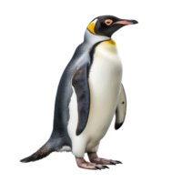 a penguin standing on a transparent background png