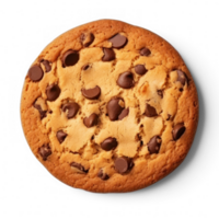 chocolate chip cookie on a transparent background png