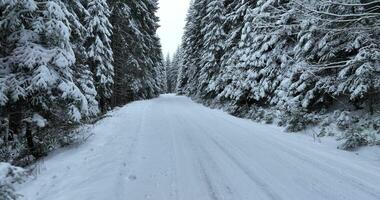Misty Sunset on the Snowy Mountains aerial drone point of view Forests cross country paths in pine trees winter with fresh country road. video