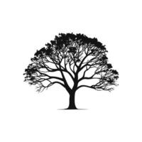 a black and white tree with roots on it vector