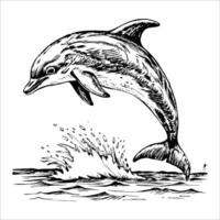 Sketch of a dolphin jumping out of the water, side view, on a white background vector