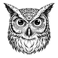 Sketch of an owl with large eyes, close-up, on a white background vector