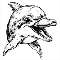 Sketch of a dolphin swimming gracefully, top view, on a white background. vector