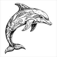 Sketch of a dolphin jumping out of the water, side view, on a white background vector