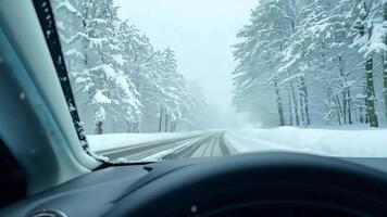 Driving Through Snowy Forest in Winter. video