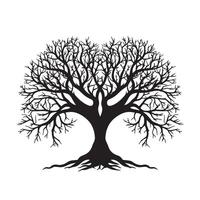 Black silhouette of a banyan isolate which background vector
