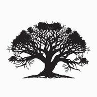 Black silhouette of a banyan isolate which background vector