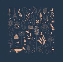 Set of different decorative elements with branches, flowers, animals and various objects drawing on blue background vector