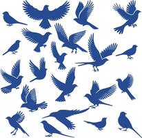 An Extensive Set of Bird Silhouette Vectors for Creative Projects